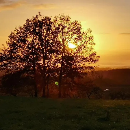 La Perle D'alsace *