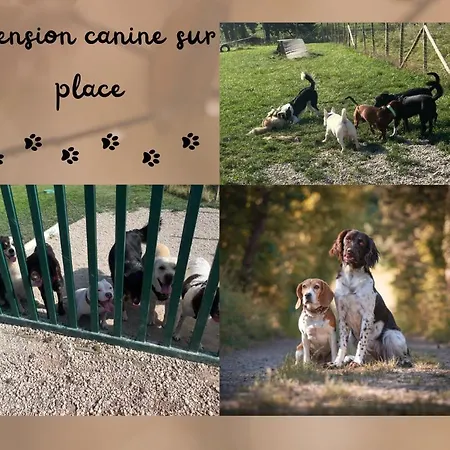 La Perle D'alsace Bernardswiller