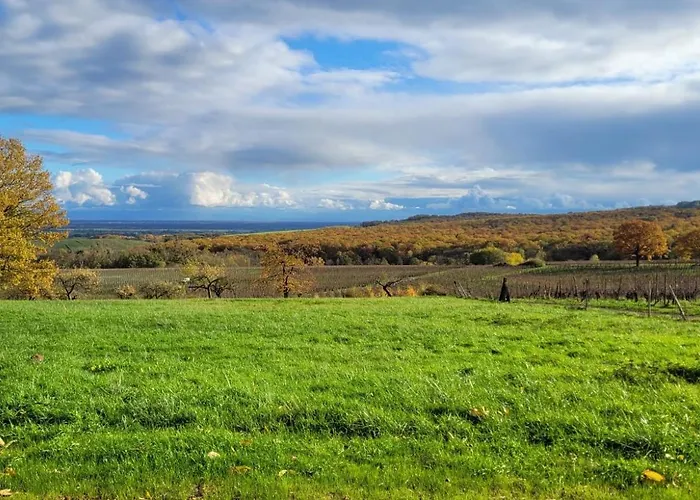 ベッド・アンド・ブレックファスト La Perle D'alsace Bernardswiller