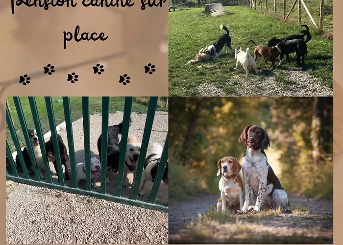 La Perle D'alsace Bernardswiller