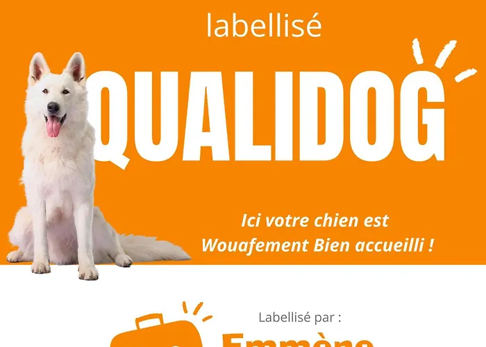 ベッド・アンド・ブレックファスト La Perle D'alsace Bernardswiller