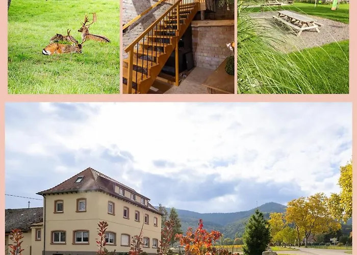 La Perle D'alsace ベッド・アンド・ブレックファスト Bernardswiller